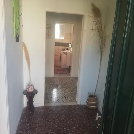 Nala's House *