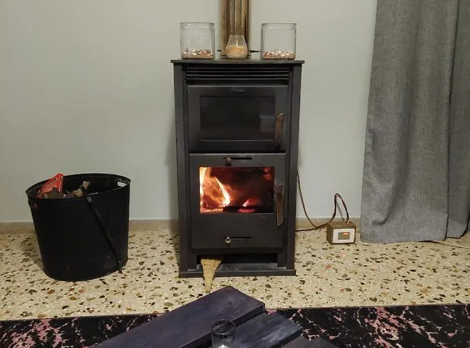 Nala's House 利昂尼迪翁